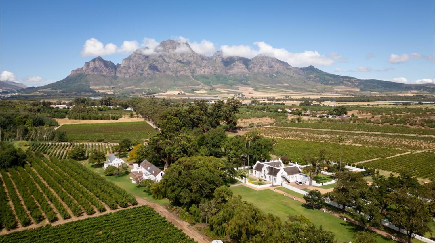 Allee Bleue Wine Estate Simondium Ngoại thất bức ảnh